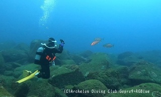 241228-snap.jpg