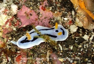 241229-norin-07daiana.jpg