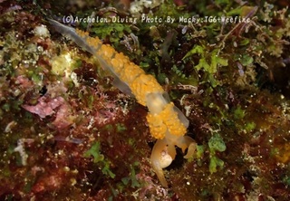 241230-ono-11akaera.jpg