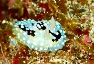 241231-non-03shimohuri.jpg