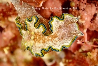 241231-non-07monja.jpg