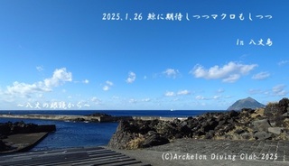 250126-yyy02.jpg