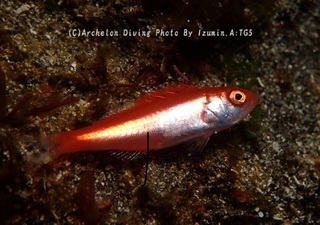 250201-izm-01.jpg
