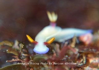 250210-nori-08zouge.jpg