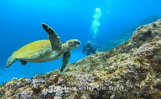 250221-snap-namara.jpg