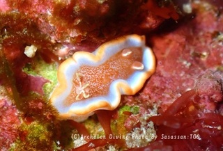 250222-nozomin-06kyara.jpg