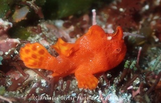 250307-nishi-01irokaeru.jpg