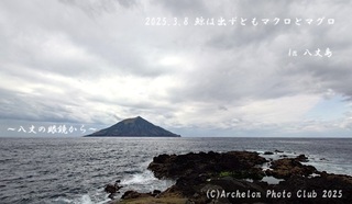 250308-ynn02.jpg