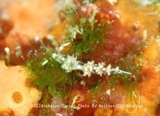 250322-mei-01hyoumon.jpg