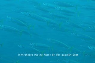 250322-nori-04muro.jpg