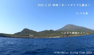 250323-tareamiya02.jpg