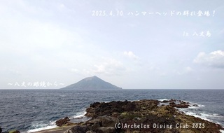 250410-nn02.jpg