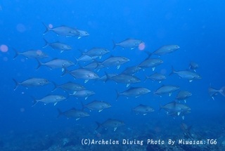 250417-miw-03kanpa.jpg