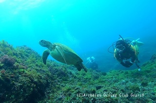 250418-snap.jpg