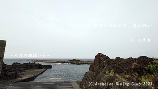 250418-yyy02.jpg
