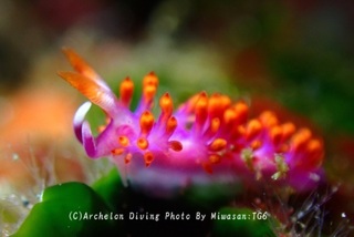 250419-miw-03ruuju.jpg