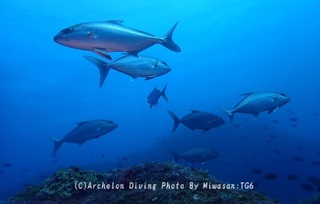 250419-miw-04kanpa.jpg
