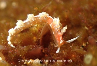 250420-miw-12rinka.jpg