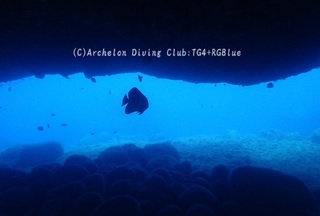 aburado240717.jpg