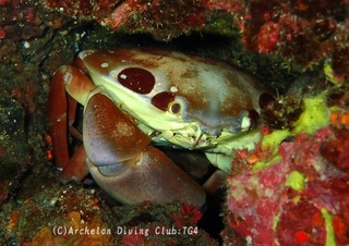 akamon240804-n.jpg