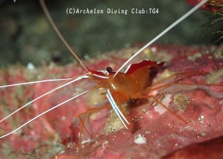 akashima241006-n.jpg
