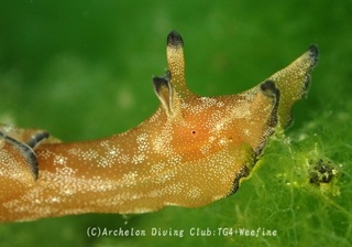 amehurashi240530-s.jpg