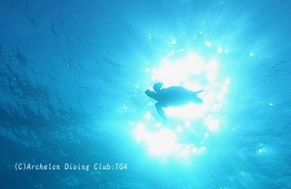 ao230929-y.jpg