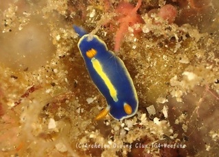 ao231019-n.jpg