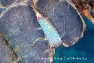 ao240207-y.jpg