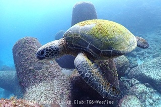 ao240228-y.jpg
