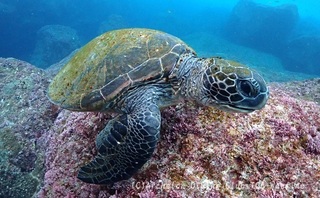 ao240229-n.jpg