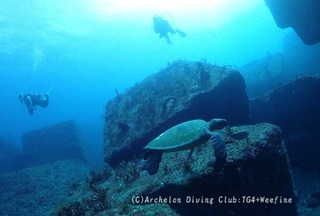 ao240303-y.jpg
