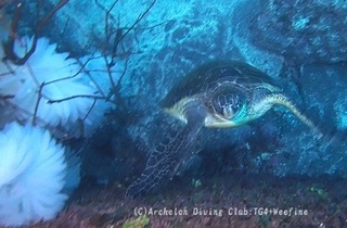 ao240422-y.jpg