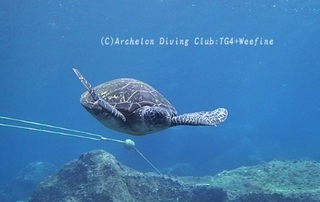 ao240526-n.jpg