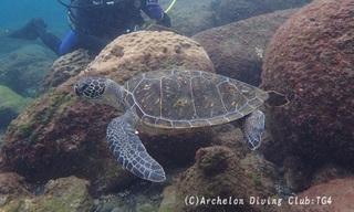 ao240904-y.jpg