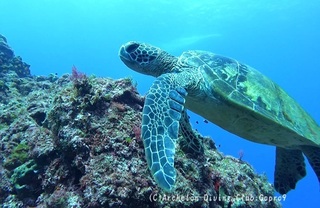 ao240912-n.jpg