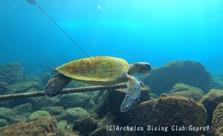 ao250114-y02.jpg