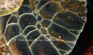 ao250219-y.jpg