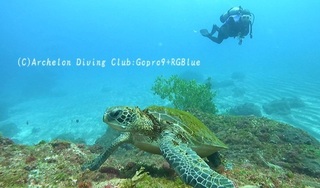 ao250409-y.jpg