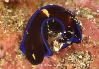 aohuchi231117-ss.jpg