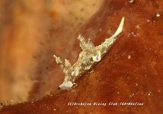 aomon230817-ya.jpg
