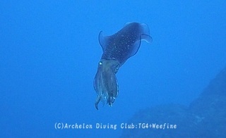aori240122-y01.jpg