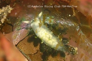 baroniamo231028-y.jpg