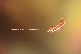 bera200930-01.jpg