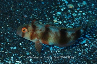 bera250215-y.jpg