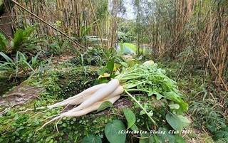 blog210228-na.jpg