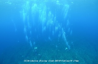 boat230903-suzu.jpg