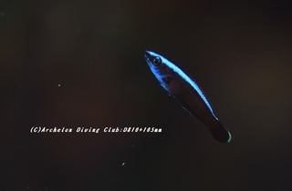 budaibera230830-n.jpg