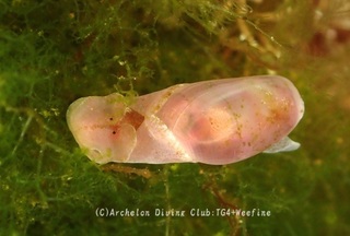 budougai240523-y.jpg