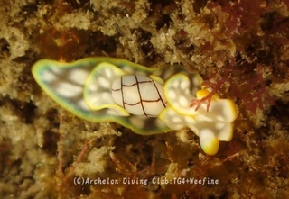 chashibori240226-k.jpg